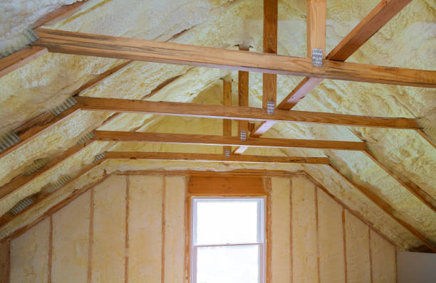 Best Cellulose Insulation  in Rochester, NY