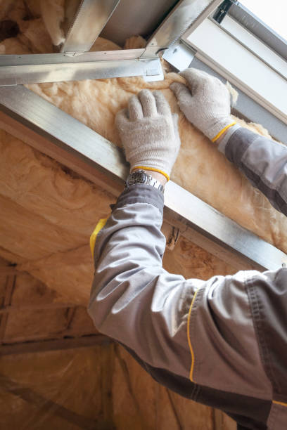 Best Professional Insulation Contractor  in Rochester, NY