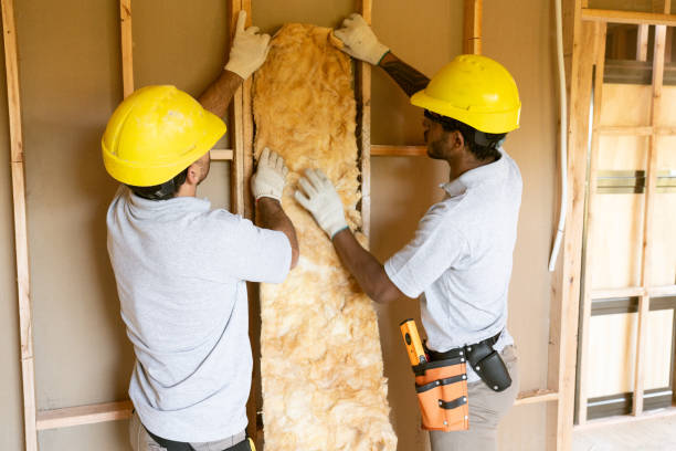 Best Residential Insulation Services  in Rochester, NY