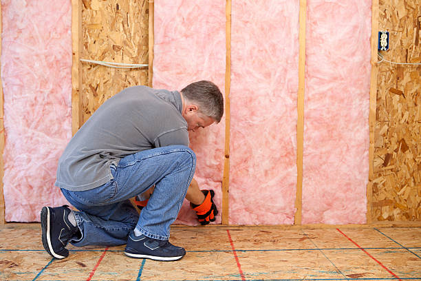 Best Blown-in Insulation  in Rochester, NY