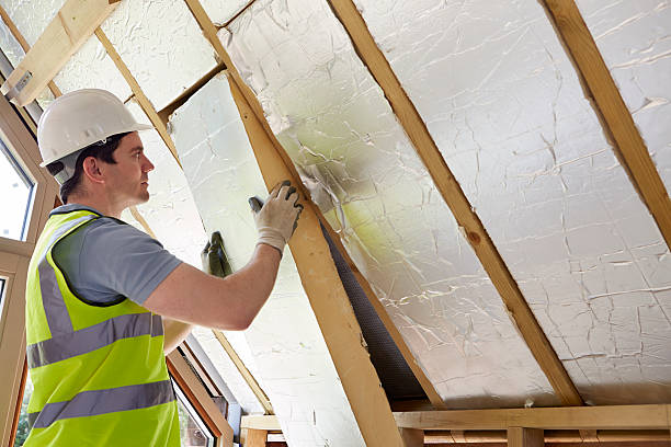 Best Insulation Removal  in Rochester, NY