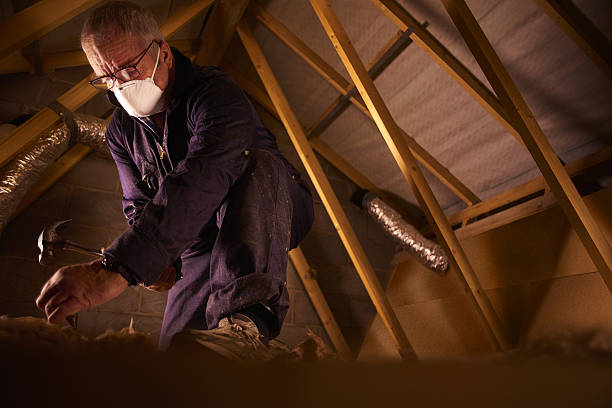 Best Fiberglass Insulation  in Rochester, NY
